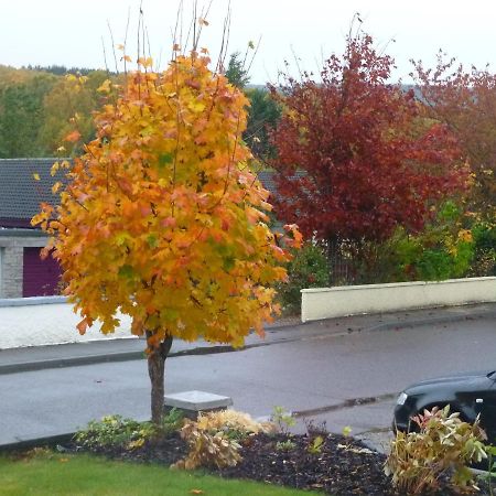 Bed and Breakfast Bb@No17 Aviemore Exteriér fotografie