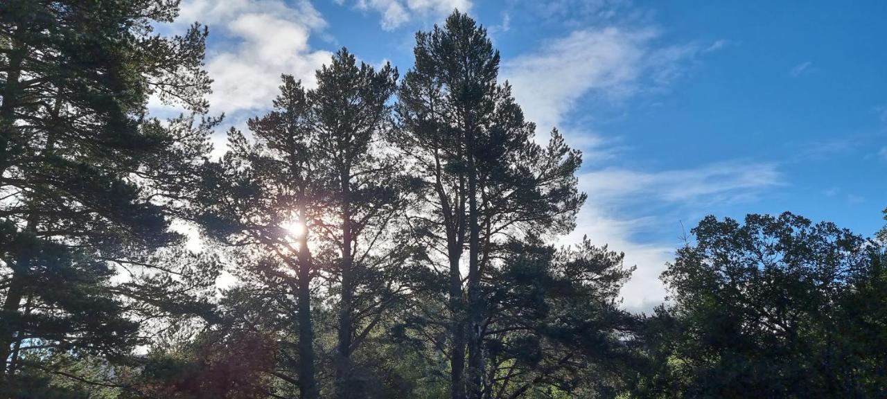 Bed and Breakfast Bb@No17 Aviemore Exteriér fotografie