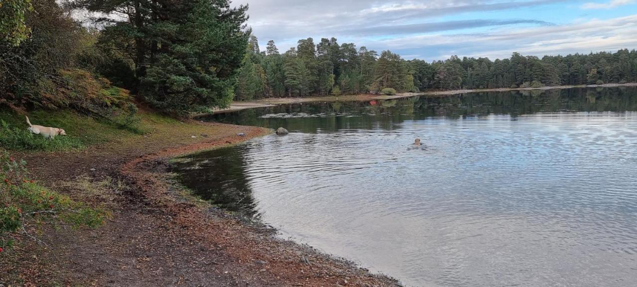 Bed and Breakfast Bb@No17 Aviemore Exteriér fotografie